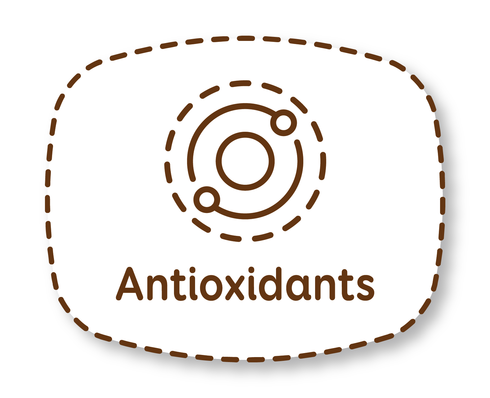 Antioxidantes: formula antienvelhecimento ideal para cães grandes com mais de 7 anos e cães pequenos e médios com mais de 9 anos