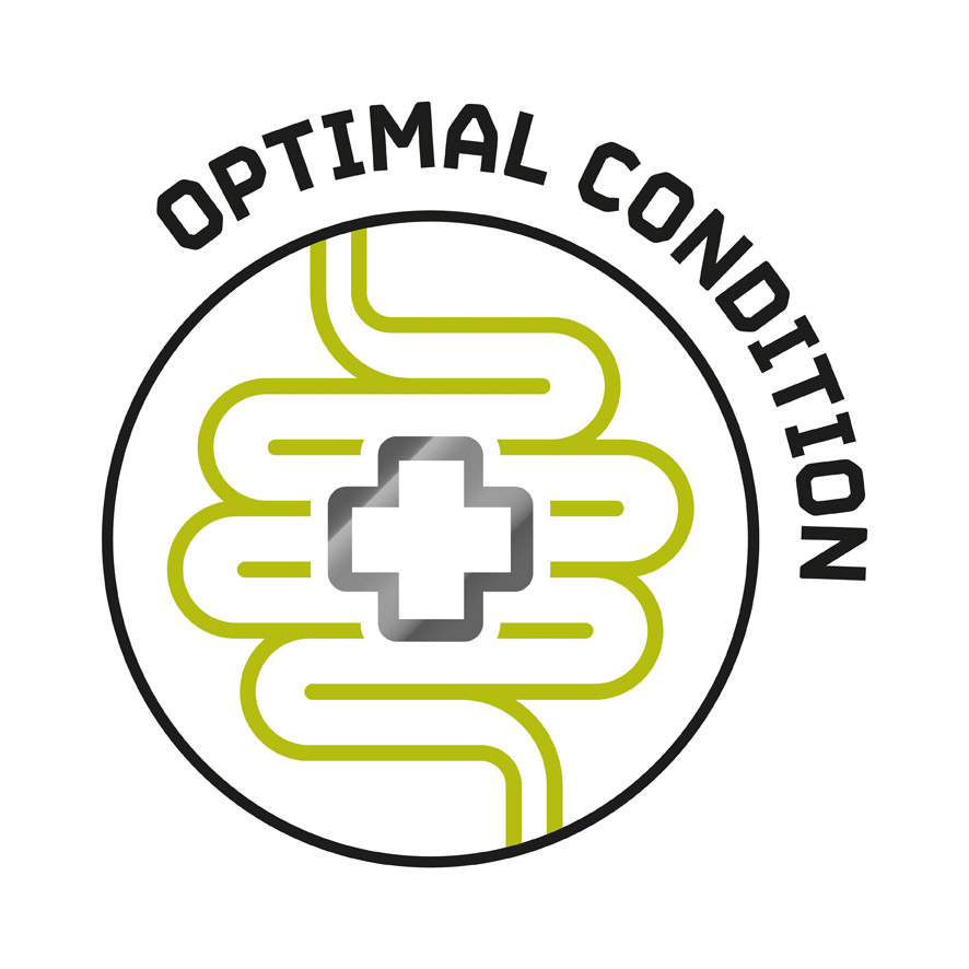 Optimal Condition